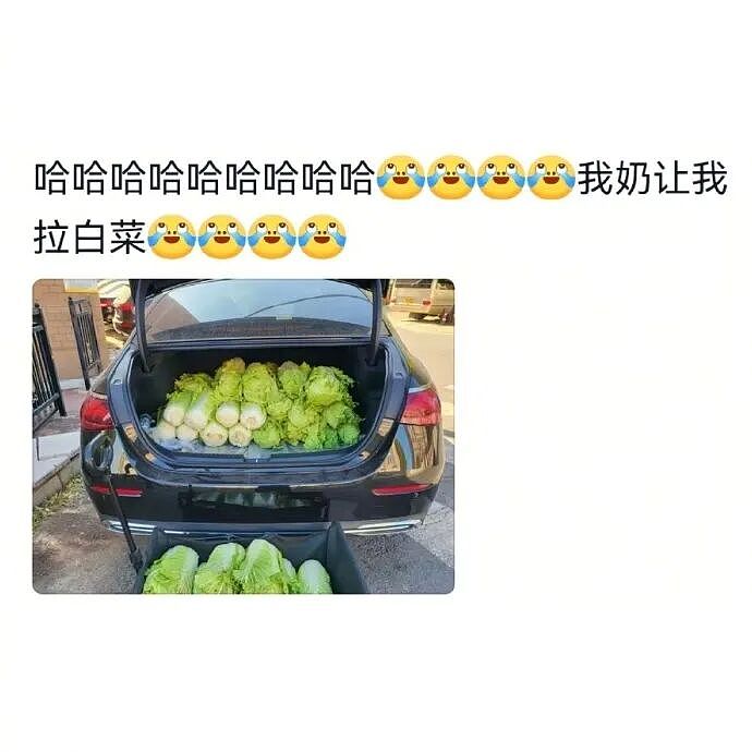 【爆笑】分手六年的前男友今天领证，竟发这样的信息给我？我该怎么回复（组图） - 11