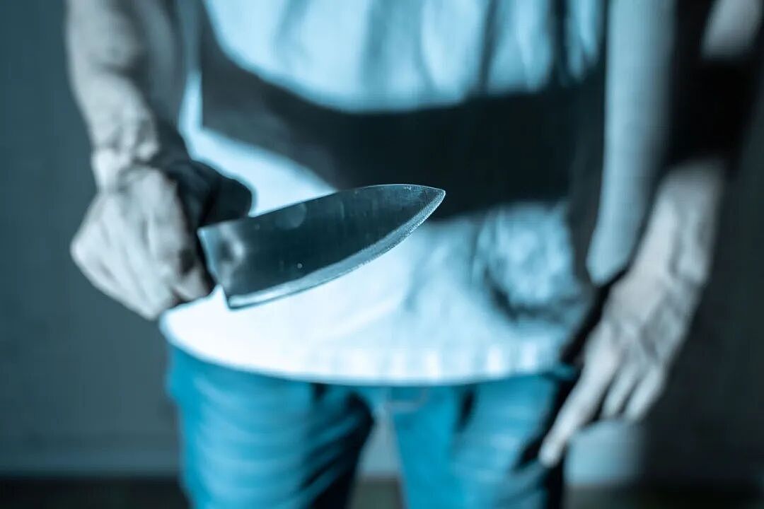 令人发指!日本33岁程序员,因自卑绑架女邻居当性奴,杀人分尸后还淡定上电视...(组图) - 42
