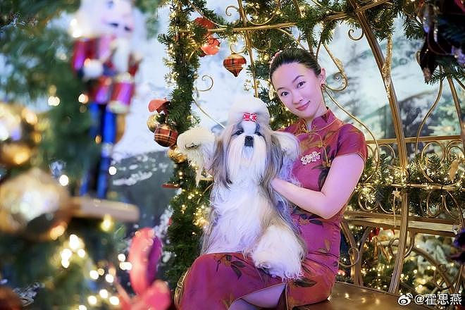 霍思燕爱犬在国际比赛夺冠,杜江发文:开心疯了,创造历史!(组图) - 4