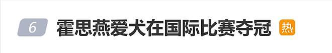 霍思燕爱犬在国际比赛夺冠,杜江发文:开心疯了,创造历史!(组图) - 1