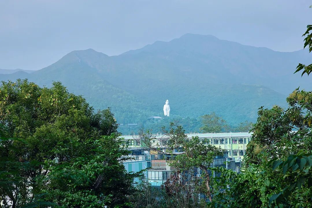 打拼30年还完房贷，他们失去唯一的房子与“安居梦”（组图） - 12