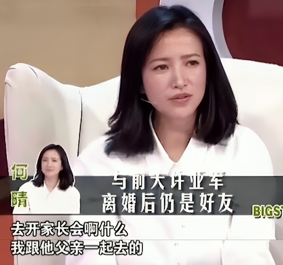何晴去世后,许亚军与刘威两位前任未发声,廖京生评论区沦陷(组图) - 22