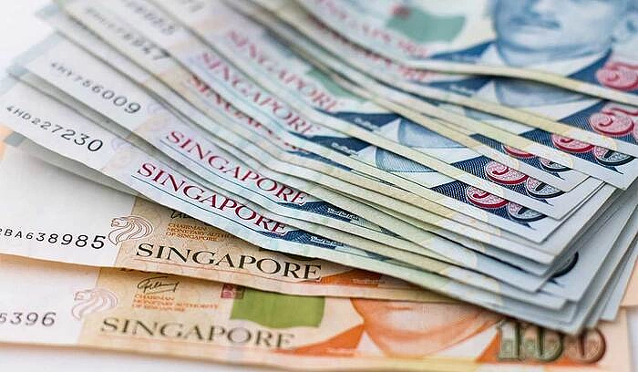 超4万外国人入境新加坡被“秒拒”！一大波海关新政实行，2026年这类人最易被遣返…（组图） - 18