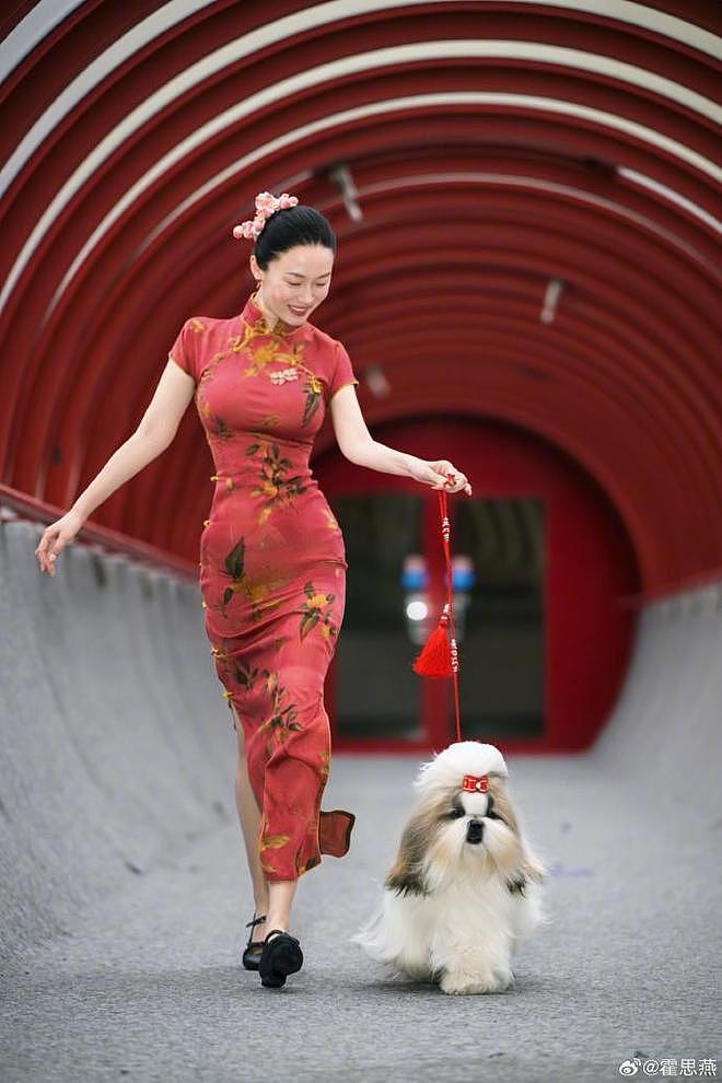霍思燕爱犬在国际比赛夺冠,杜江发文:开心疯了,创造历史!(组图) - 3