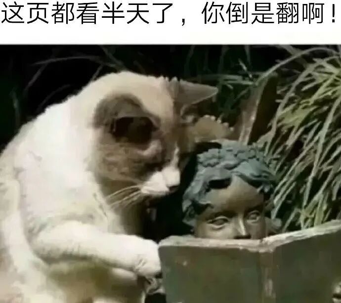 【爆笑】分手六年的前男友今天领证，竟发这样的信息给我？我该怎么回复（组图） - 26