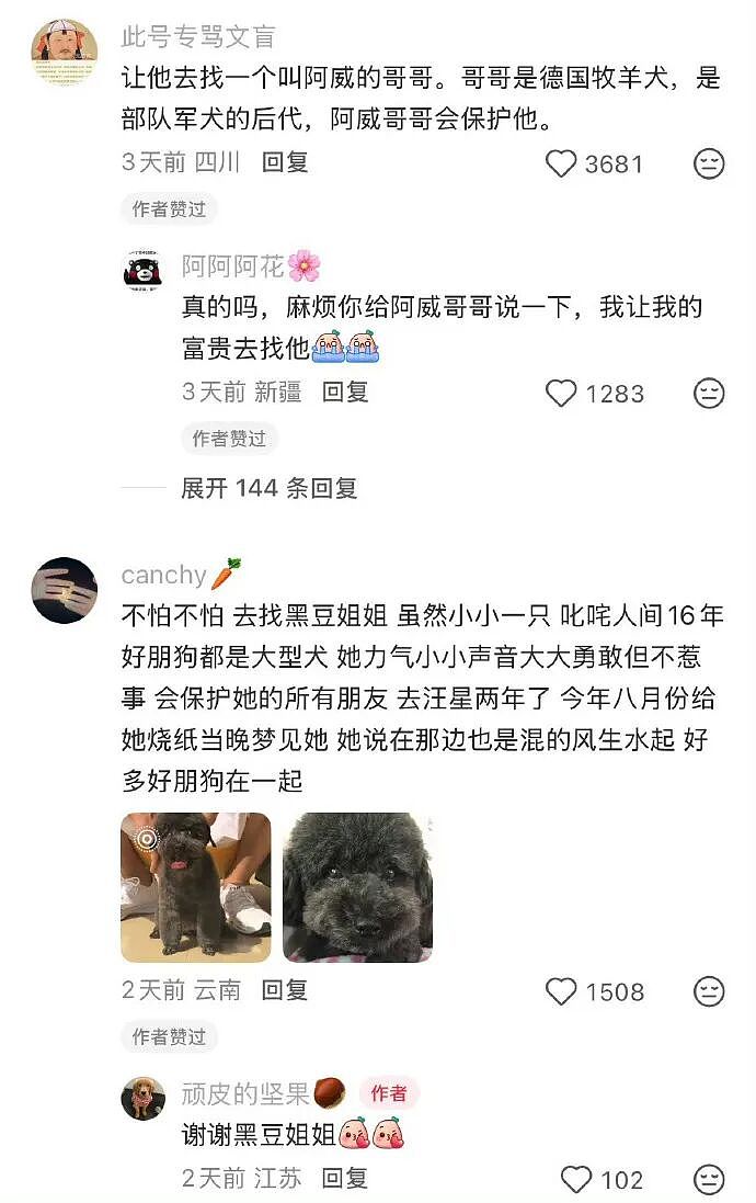 【爆笑】分手六年的前男友今天领证，竟发这样的信息给我？我该怎么回复（组图） - 70