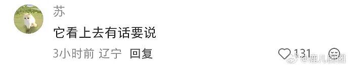 【爆笑】分手六年的前男友今天领证，竟发这样的信息给我？我该怎么回复（组图） - 45