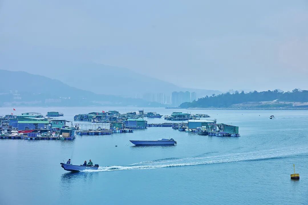 打拼30年还完房贷，他们失去唯一的房子与“安居梦”（组图） - 8
