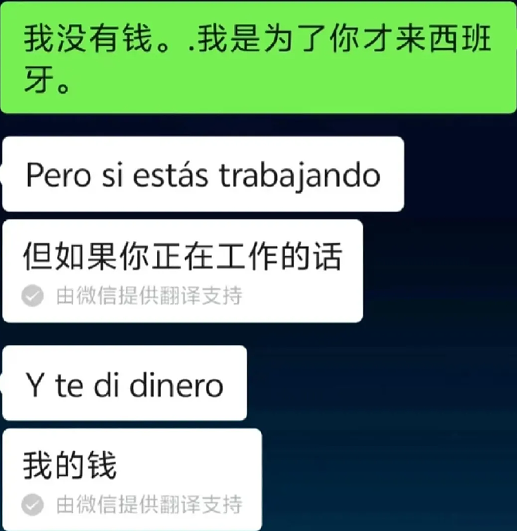 二婚宝妈得瑟旋耀嫁西班牙老公后翻车，个人照片和经历被评论区群嘲（组图） - 11