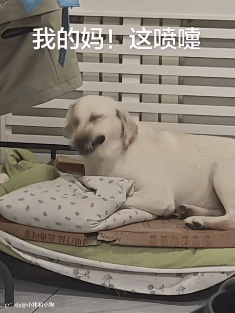 【爆笑】“老师上课憋屁失败该怎么办??”哈哈哈哈哈哈哈被评论区笑颠!!(组图) - 34