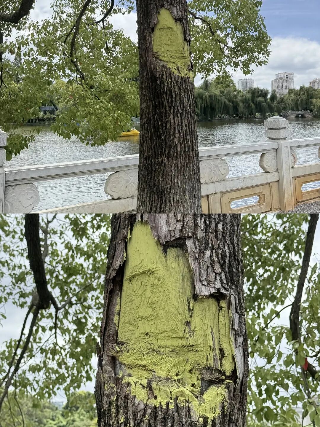 【爆笑】“拼xx的商品详情能疯到什么地步？”哈哈哈哈哈哈哈哈全网被逗疯了！（组图） - 39