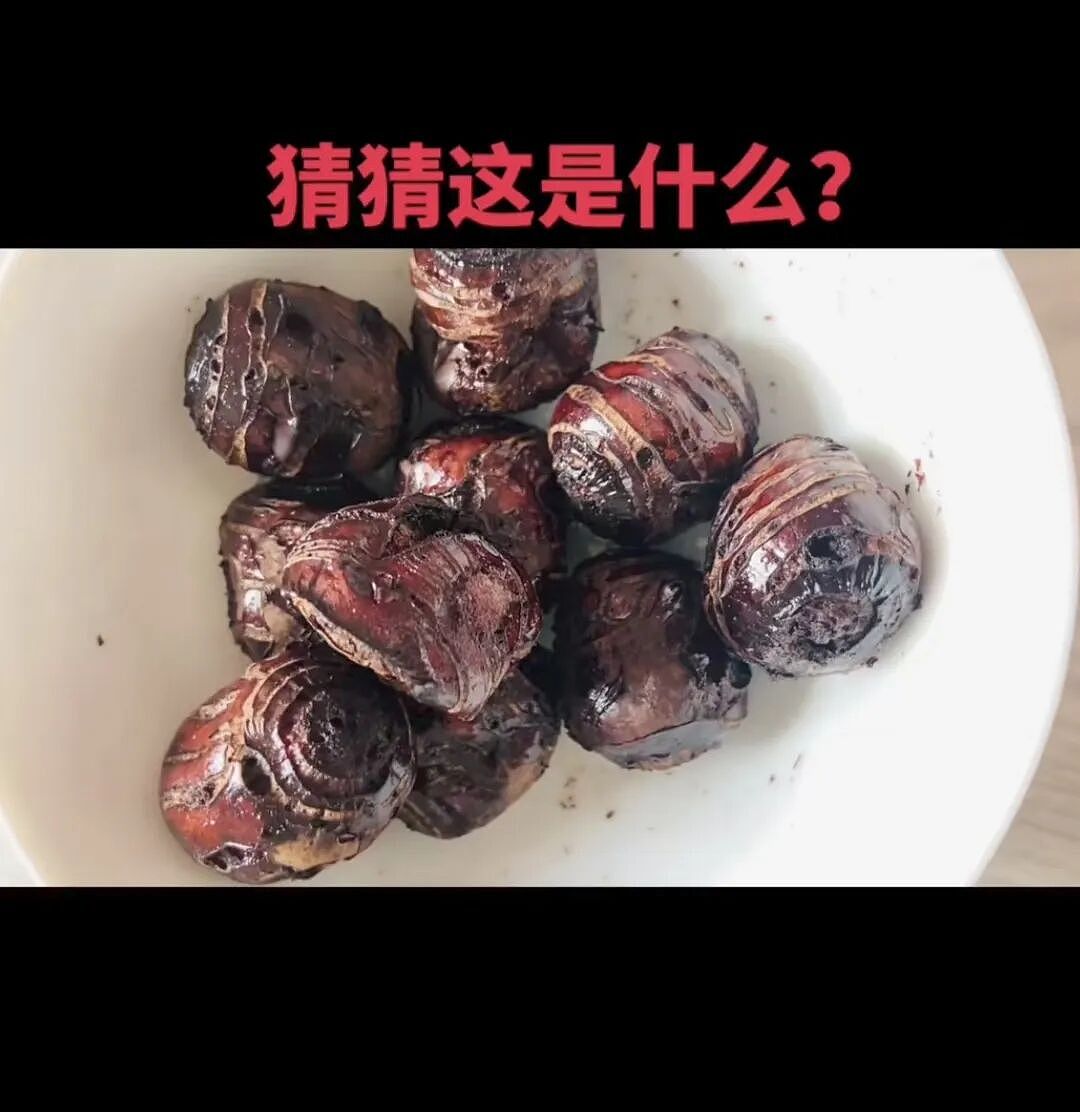 【爆笑】“老师上课憋屁失败该怎么办??”哈哈哈哈哈哈哈被评论区笑颠!!(组图) - 93