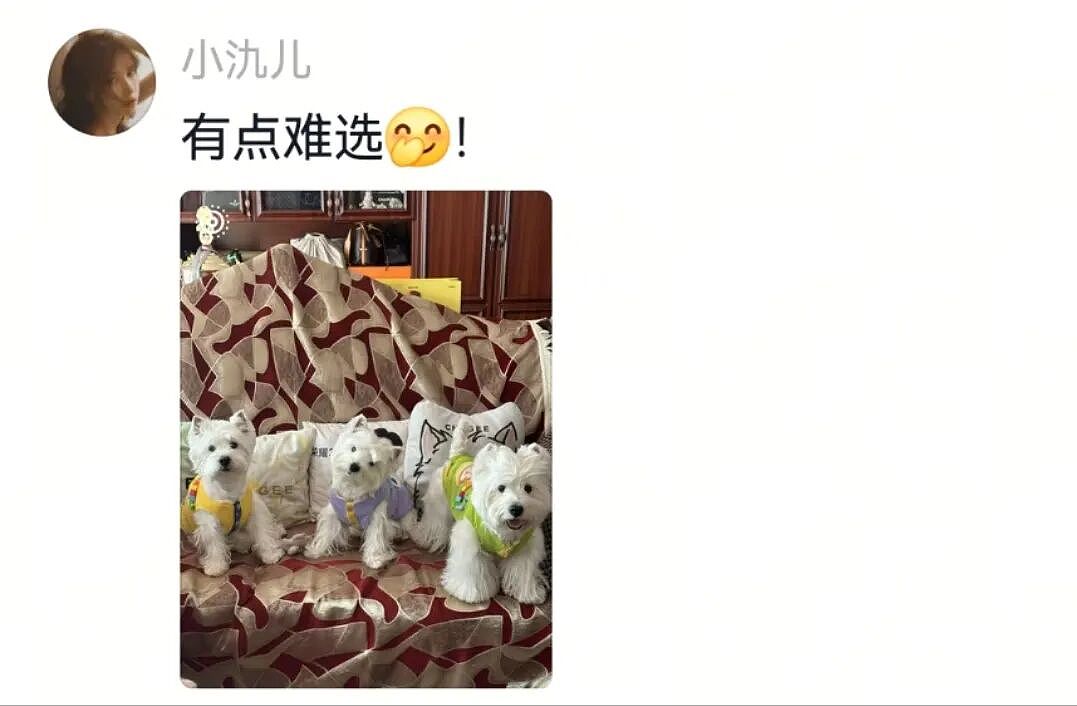 【宠物】主人出嫁拍全家福，狗子悄悄走到旁边，爸爸看到后假装要打，实际上悄悄把狗子拉近...（组图） - 17