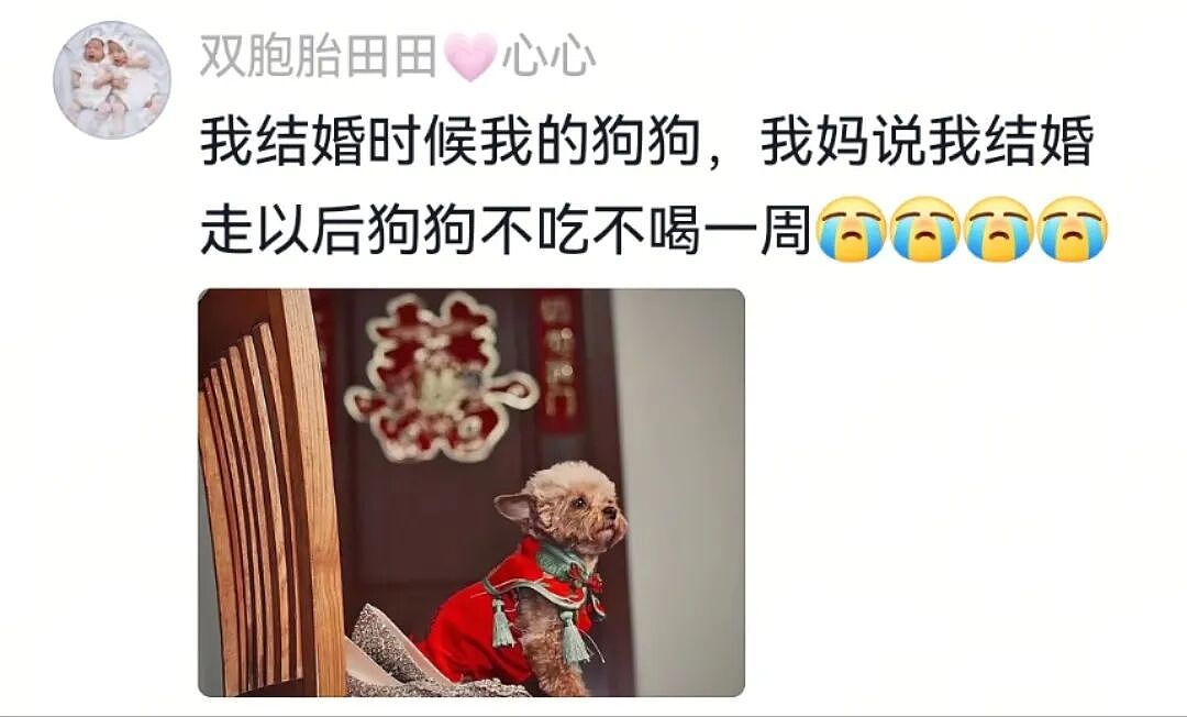 【宠物】主人出嫁拍全家福，狗子悄悄走到旁边，爸爸看到后假装要打，实际上悄悄把狗子拉近...（组图） - 4