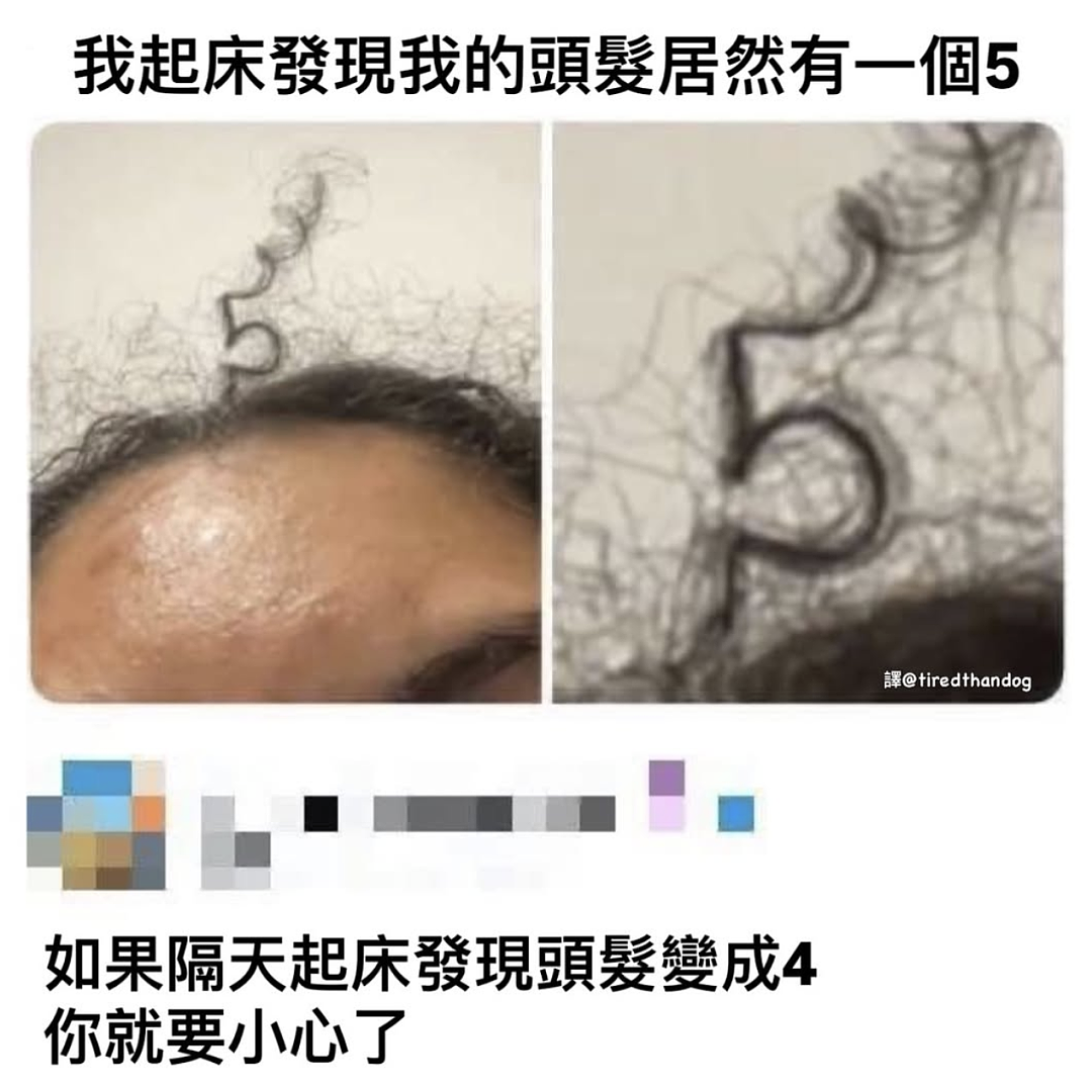 【爆笑】“老师上课憋屁失败该怎么办??”哈哈哈哈哈哈哈被评论区笑颠!!(组图) - 68