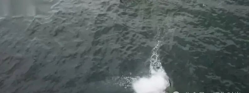 王一博温哥华附近坠海，攀岩手滑瞬间坠落！全程无保护掉入水中（视频/组图） - 4