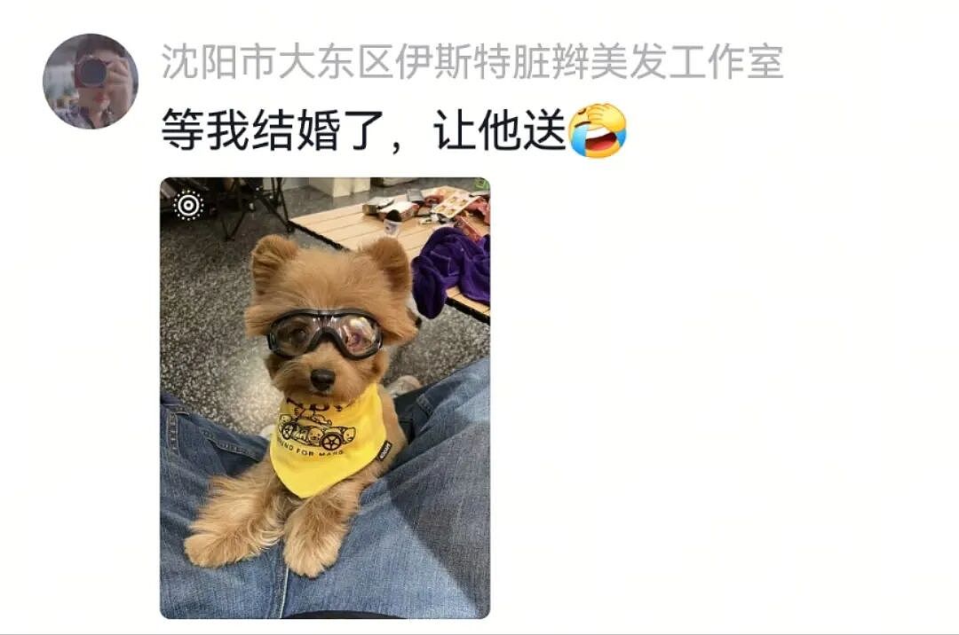 【宠物】主人出嫁拍全家福，狗子悄悄走到旁边，爸爸看到后假装要打，实际上悄悄把狗子拉近...（组图） - 16