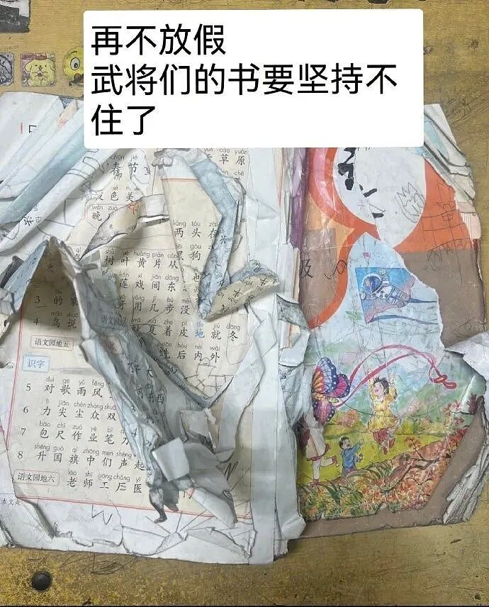 【爆笑】“拼xx的商品详情能疯到什么地步？”哈哈哈哈哈哈哈哈全网被逗疯了！（组图） - 66