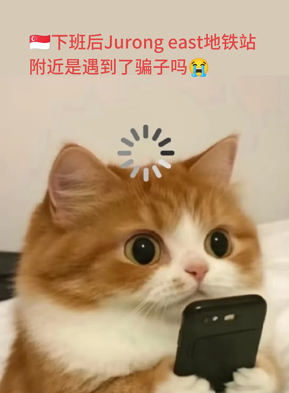 新加坡街头惊现奇葩“中国乞讨男团”：要钱打车去金沙！网传月入$9000、下班开奔驰...（组图） - 5