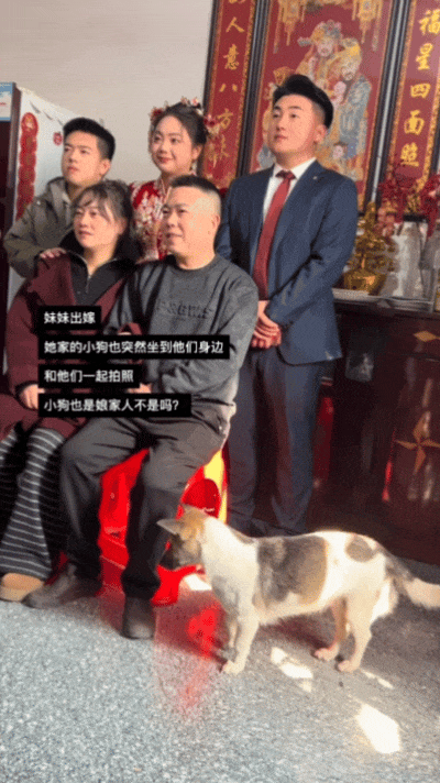 【宠物】主人出嫁拍全家福，狗子悄悄走到旁边，爸爸看到后假装要打，实际上悄悄把狗子拉近...（组图） - 1