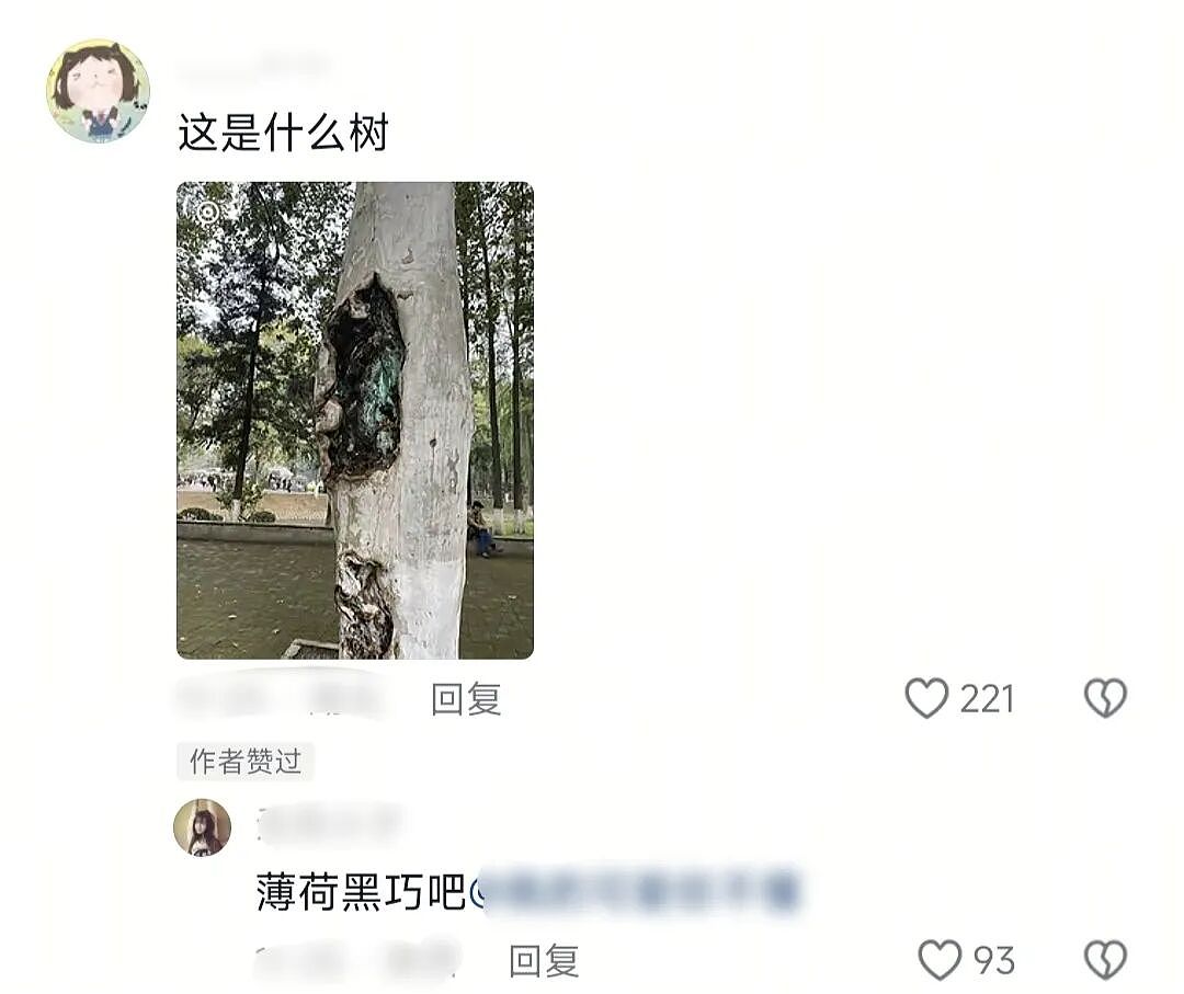 【爆笑】“拼xx的商品详情能疯到什么地步？”哈哈哈哈哈哈哈哈全网被逗疯了！（组图） - 40