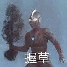【爆笑】“拼xx的商品详情能疯到什么地步？”哈哈哈哈哈哈哈哈全网被逗疯了！（组图） - 2