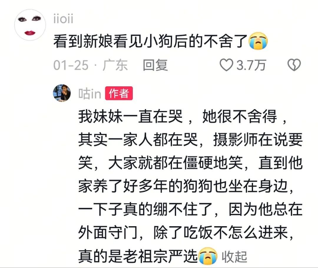 【宠物】主人出嫁拍全家福，狗子悄悄走到旁边，爸爸看到后假装要打，实际上悄悄把狗子拉近...（组图） - 3