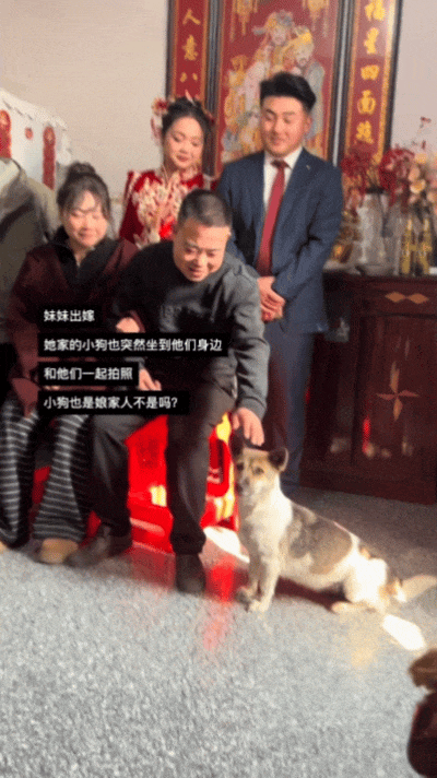 【宠物】主人出嫁拍全家福，狗子悄悄走到旁边，爸爸看到后假装要打，实际上悄悄把狗子拉近...（组图） - 2