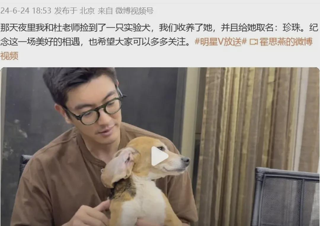 中国女星穿旗袍牵爱犬参加国际犬赛,获得总冠军(组图) - 7