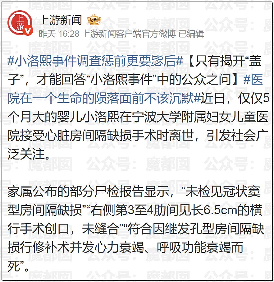 哭死！小洛熙爸爸发现尸检台上小圆头，父母生育隐私竟遭泄露（组图） - 38