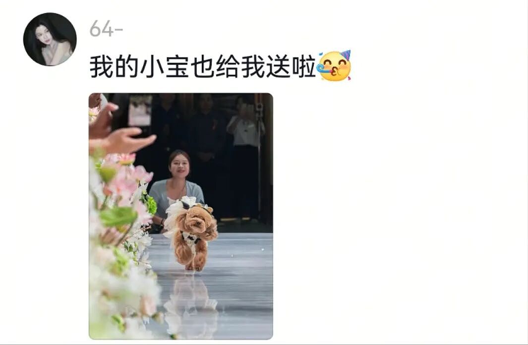 【宠物】主人出嫁拍全家福，狗子悄悄走到旁边，爸爸看到后假装要打，实际上悄悄把狗子拉近...（组图） - 15
