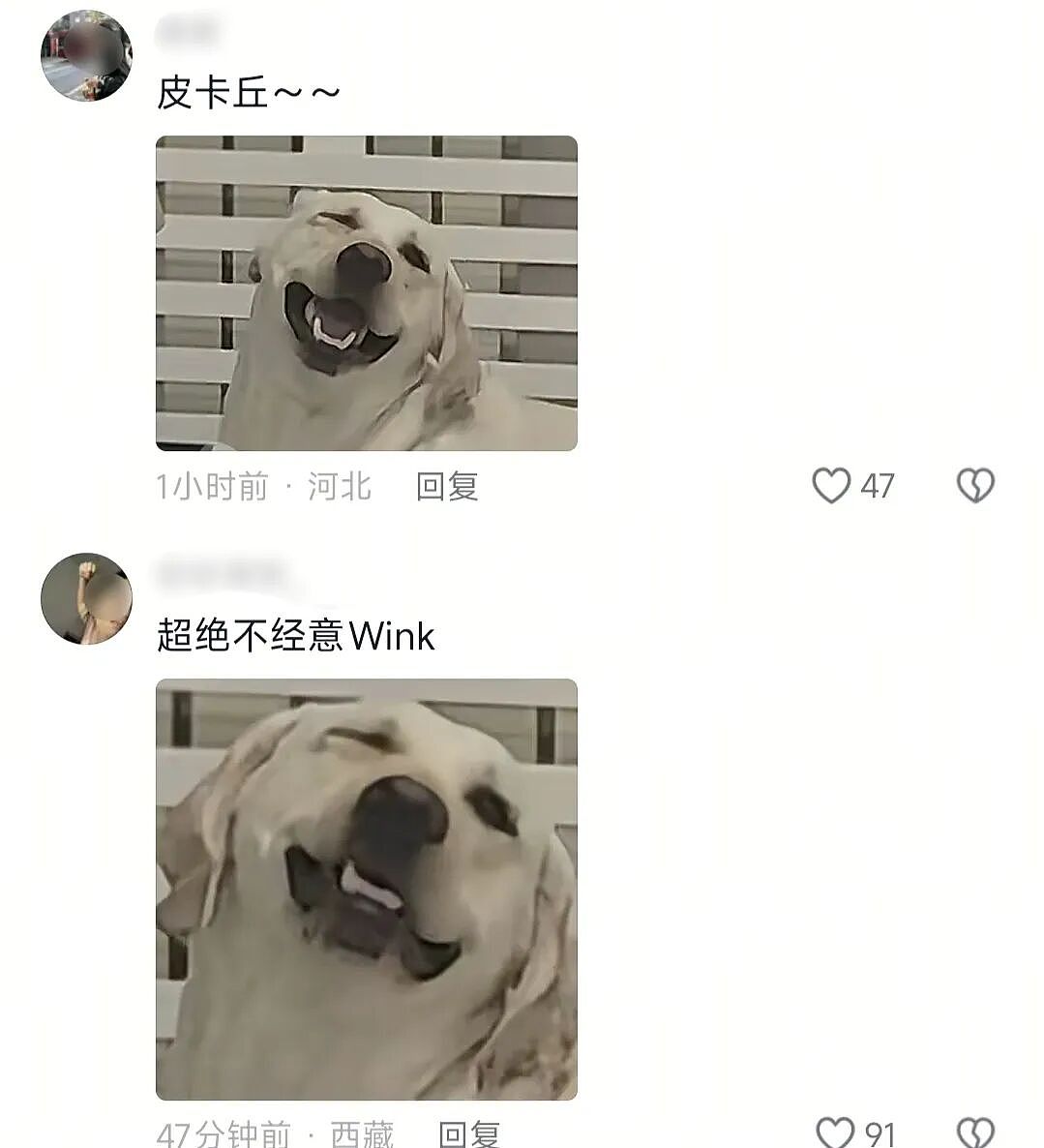 【爆笑】“老师上课憋屁失败该怎么办??”哈哈哈哈哈哈哈被评论区笑颠!!(组图) - 35