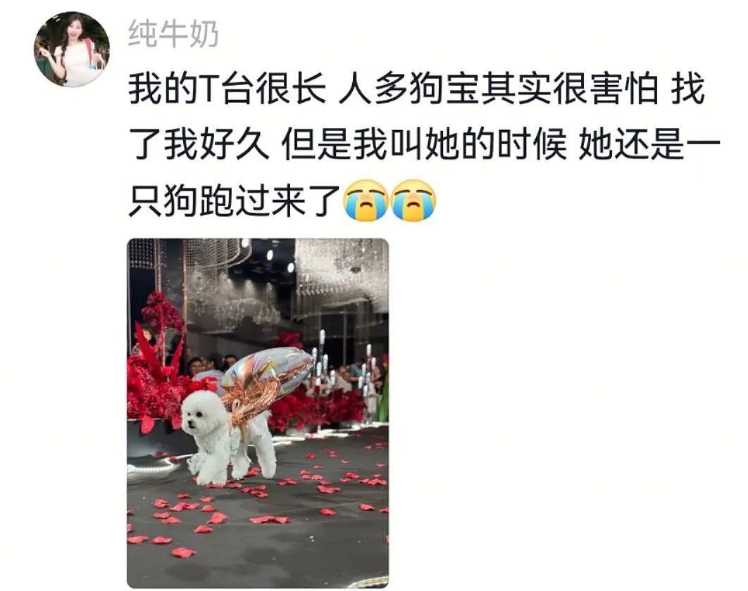 【宠物】主人出嫁拍全家福，狗子悄悄走到旁边，爸爸看到后假装要打，实际上悄悄把狗子拉近...（组图） - 21