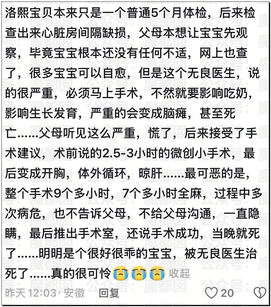 哭死！小洛熙爸爸发现尸检台上小圆头，父母生育隐私竟遭泄露（组图） - 15