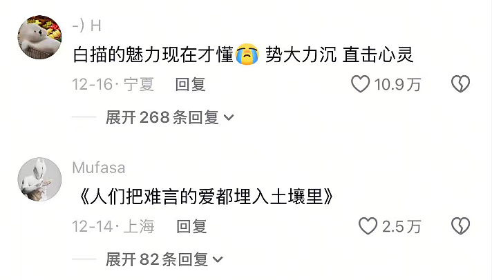 1000万人围观，爆红的“老辈子文学”（组图） - 18