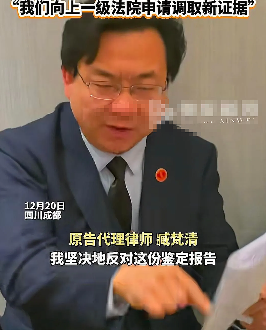 成都海归女硕士在家被无仇无怨邻居杀害，凶手被判缓刑，其怪异行为和4个疑点引发巨大争议（组图） - 11