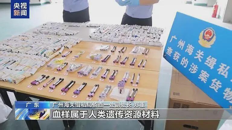 超10万人份孕妇血样被走私出境，详情公布（组图） - 3