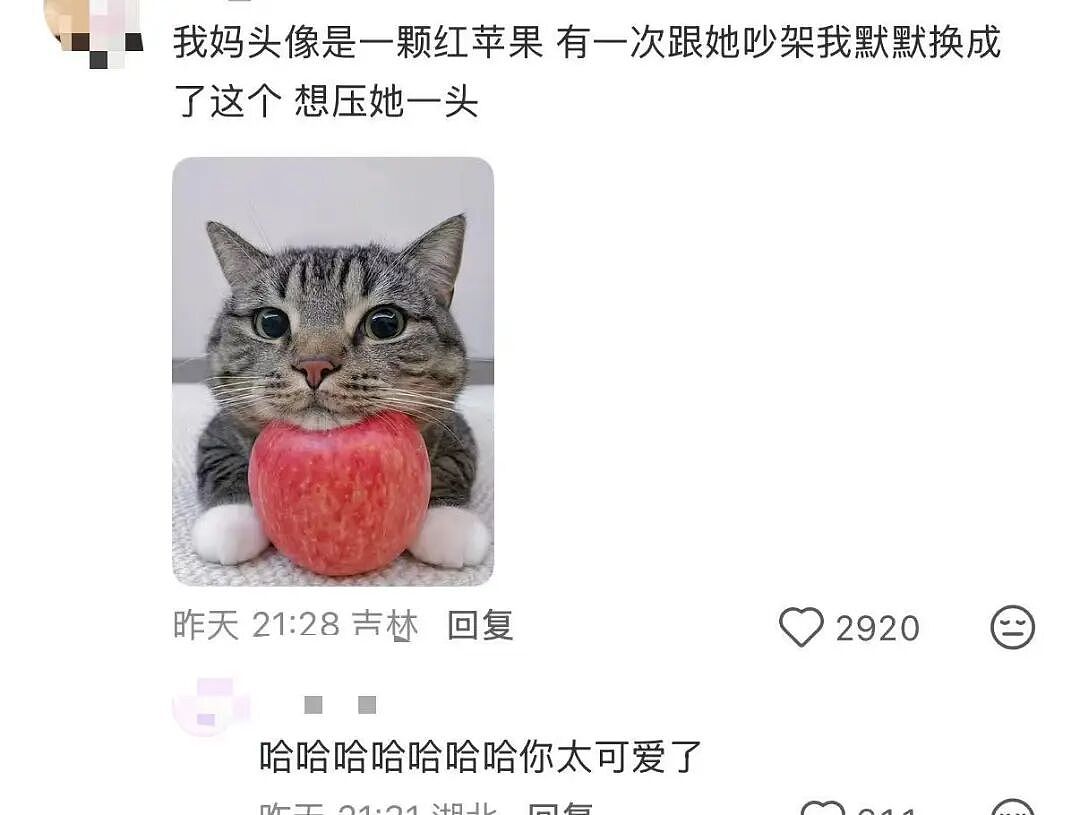 【爆笑】“在高铁上外放张震讲故事是种什么体验…？”哈哈哈魔法对轰具像化了！（组图） - 90