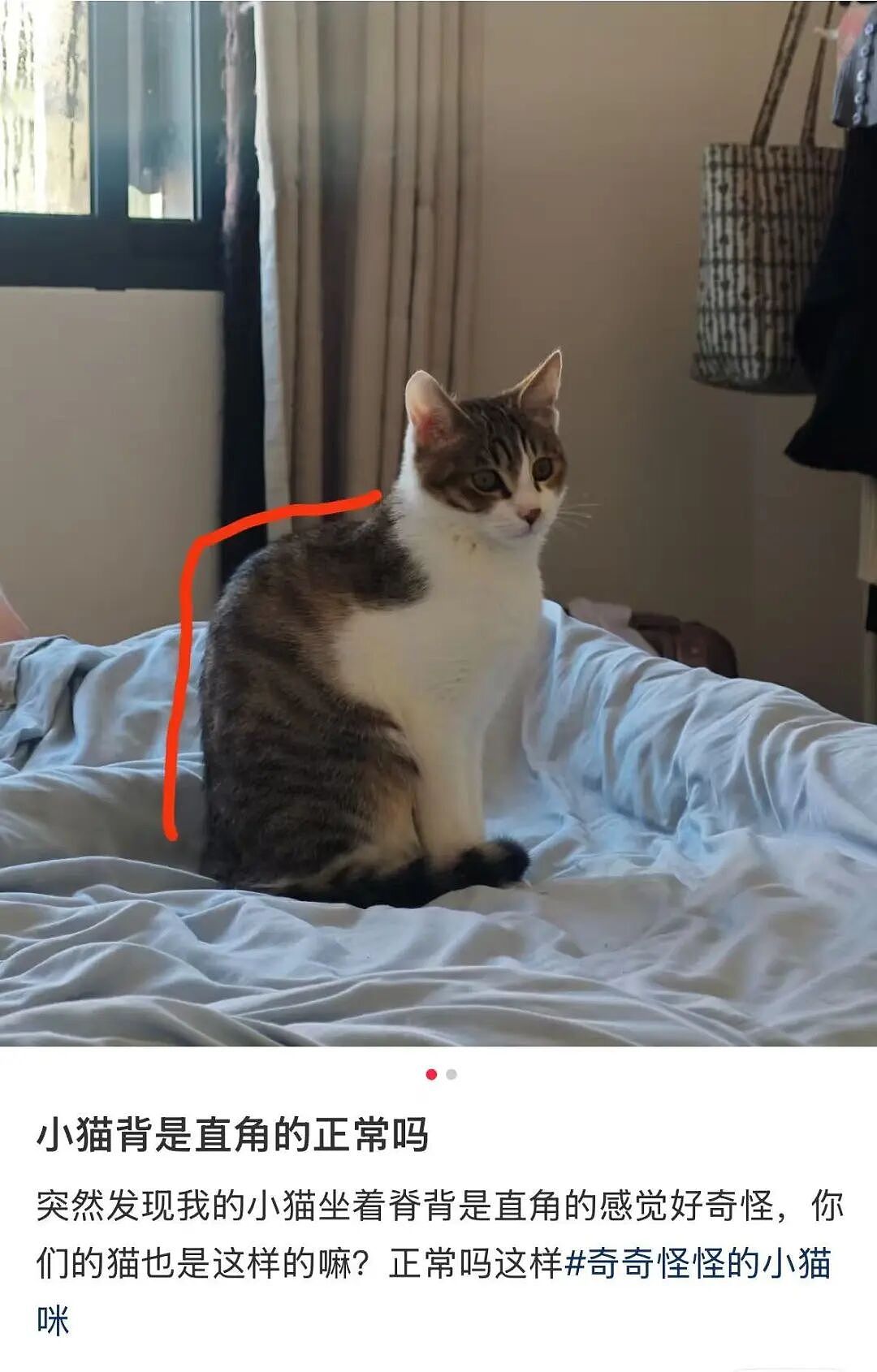 【爆笑】“在高铁上外放张震讲故事是种什么体验…？”哈哈哈魔法对轰具像化了！（组图） - 11