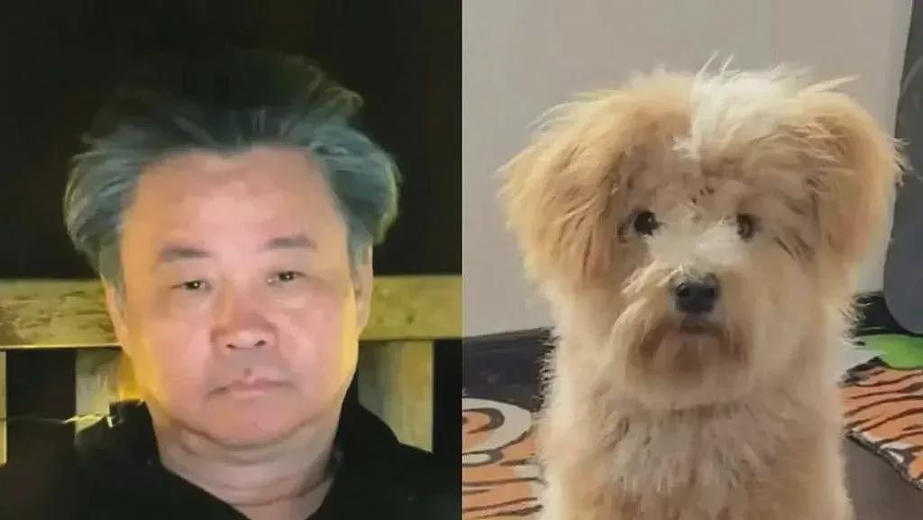 余华新书被骂太猥琐,年轻人最爱的“潦草小狗”突然“塌房”了(组图) - 10