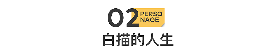 1000万人围观，爆红的“老辈子文学”（组图） - 22