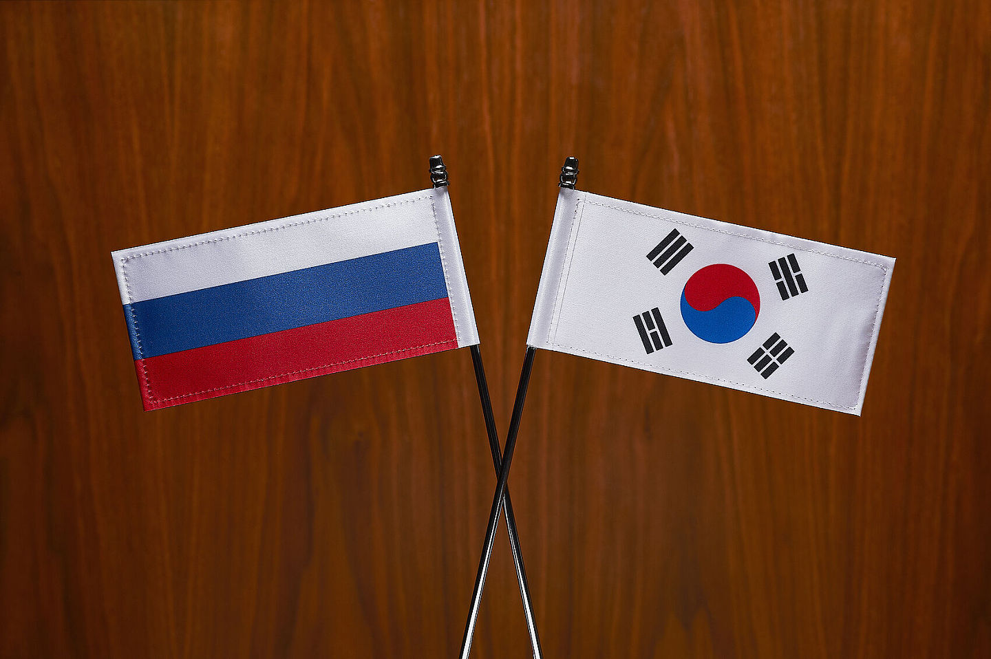 韩国私下接触俄罗斯官员谈北韩核武,俄方否认反成“关键讯号”(图) - 1