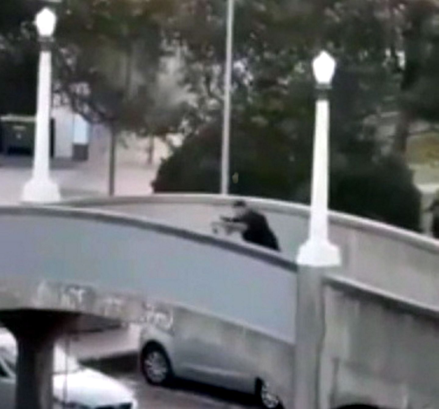 澳洲恐攻父子犯前军事训练,警搜出射击影片(图) - 1