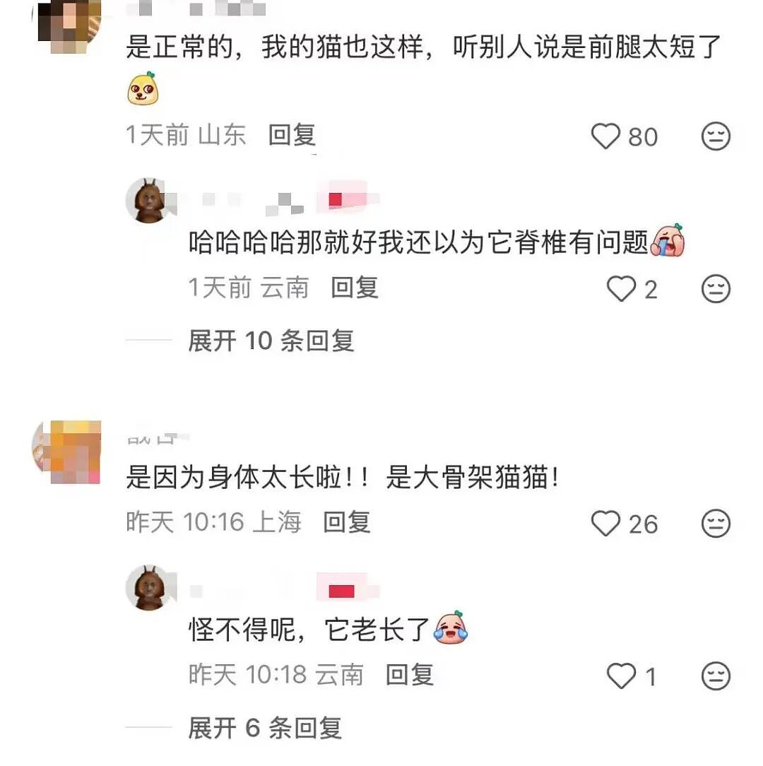 【爆笑】“在高铁上外放张震讲故事是种什么体验…？”哈哈哈魔法对轰具像化了！（组图） - 12