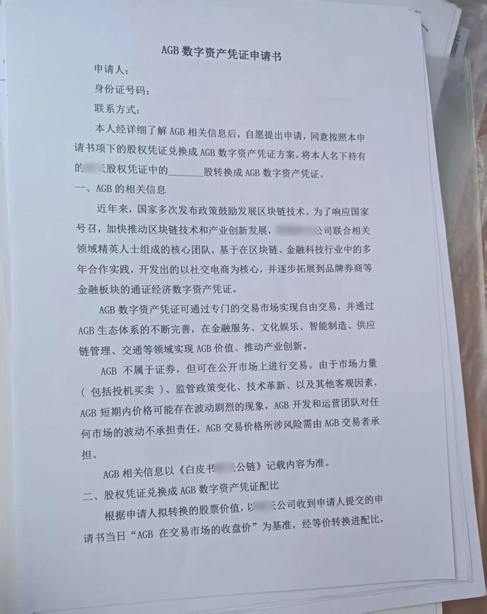 百万骗局背后，一场东亚母女的债务清算（组图） - 5