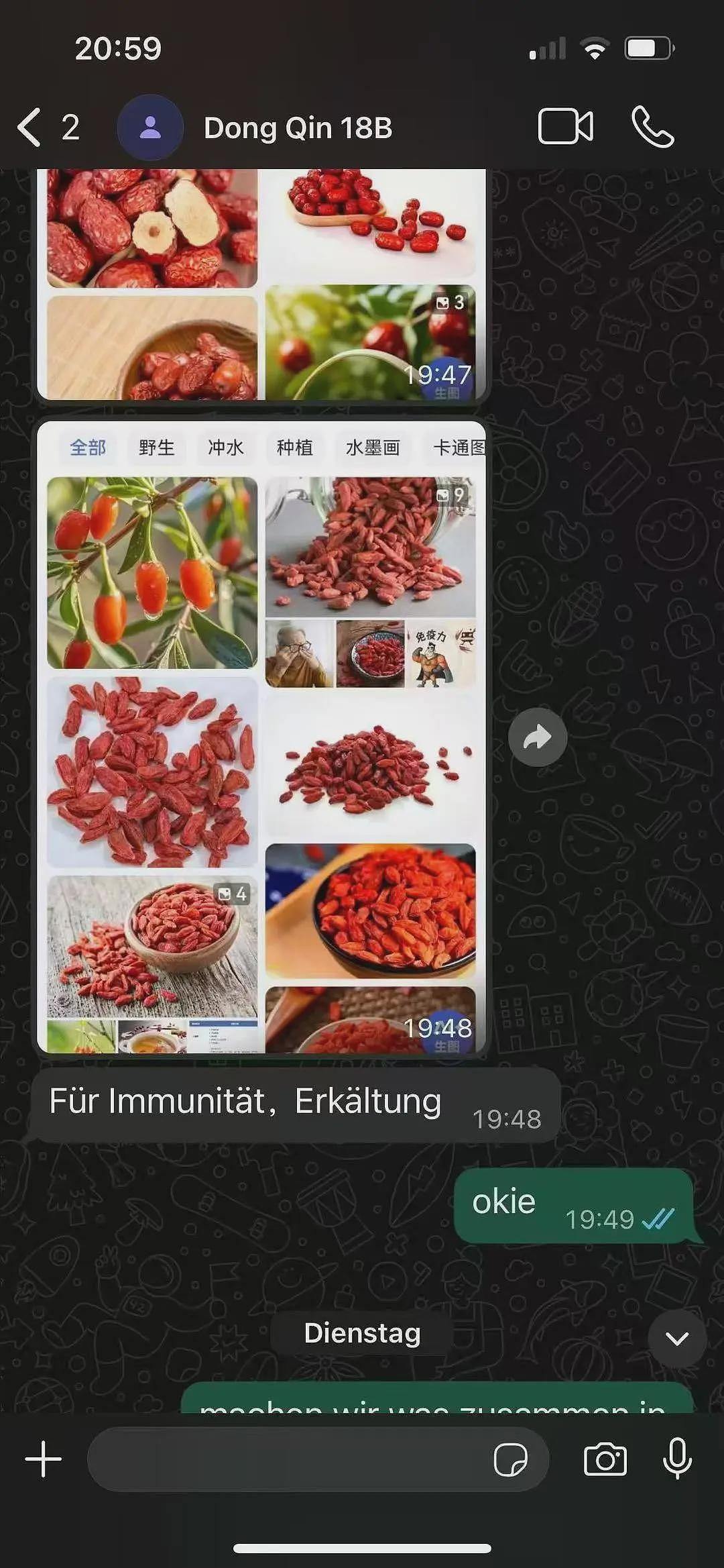 消失的女儿！华裔女子邮轮失联超一周， 无下船记录， 母亲发声！最后联系曝光（组图） - 2
