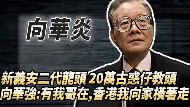 新义安第二代“龙头”向华炎去世！曝最后露面照，弟弟是向华强（组图） - 8
