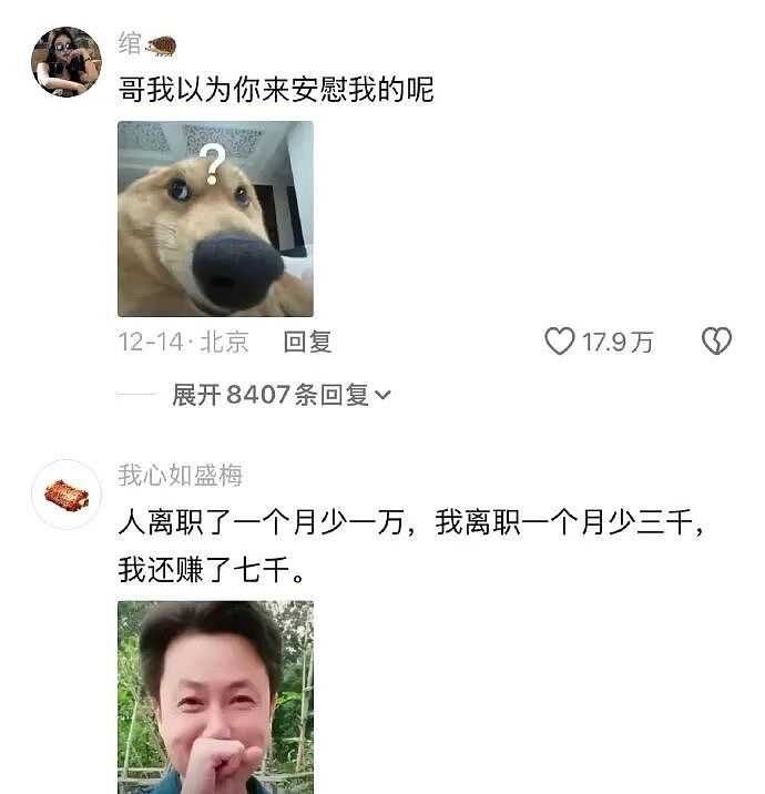 【爆笑】MIU MIU三角内裤售价2.4w？网友傻眼：以后不要说穷的只剩裤衩了 ​​​（组图） - 17