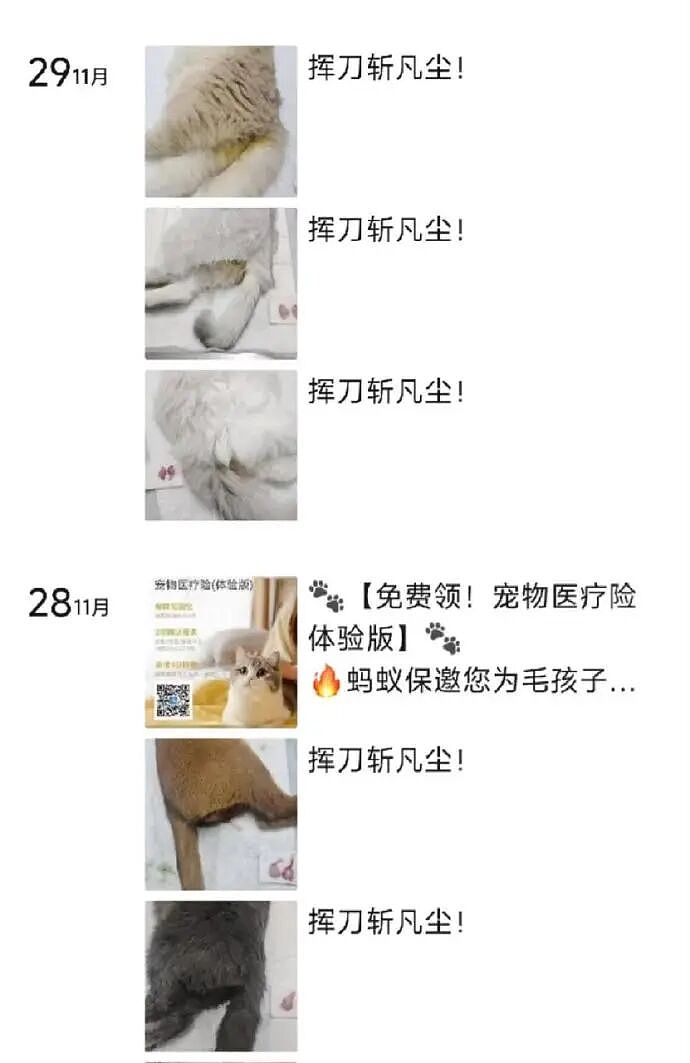 【爆笑】MIU MIU三角内裤售价2.4w？网友傻眼：以后不要说穷的只剩裤衩了 ​​​（组图） - 30