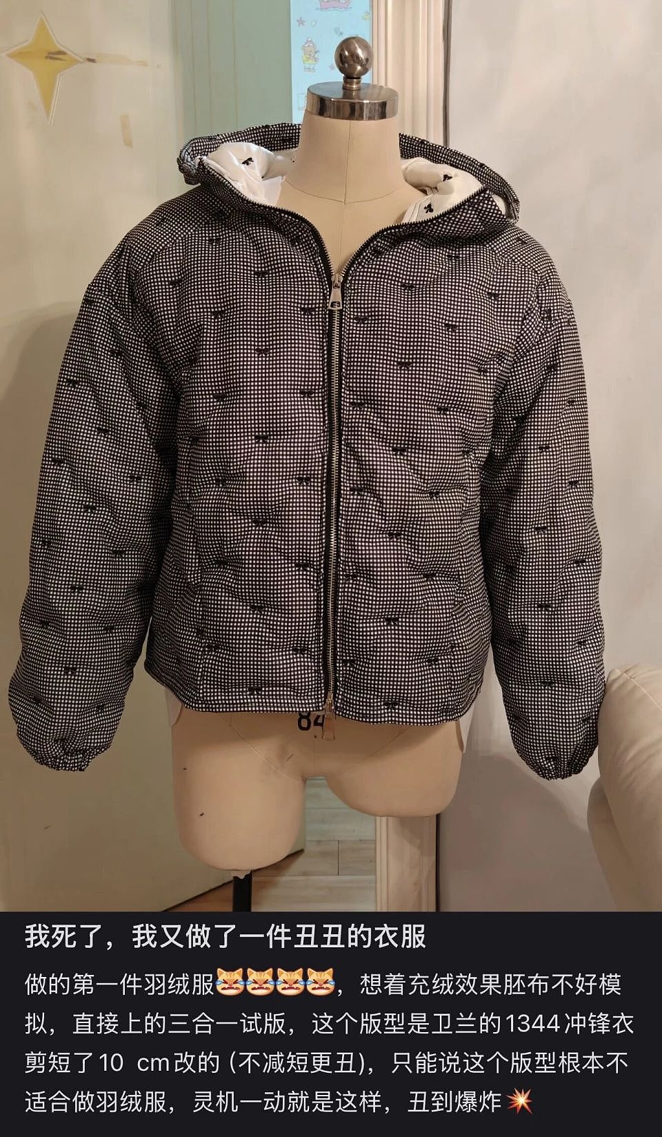 300块的邪修羽绒服，吊打万元始祖鸟？（组图） - 4